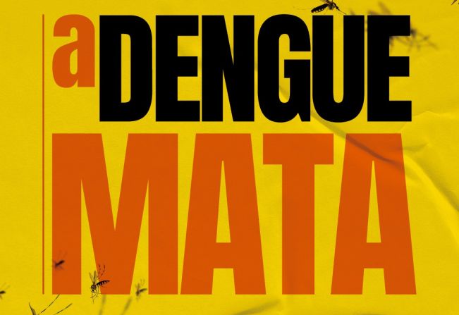 Não deixe a dengue ser mais do que um mosquito0