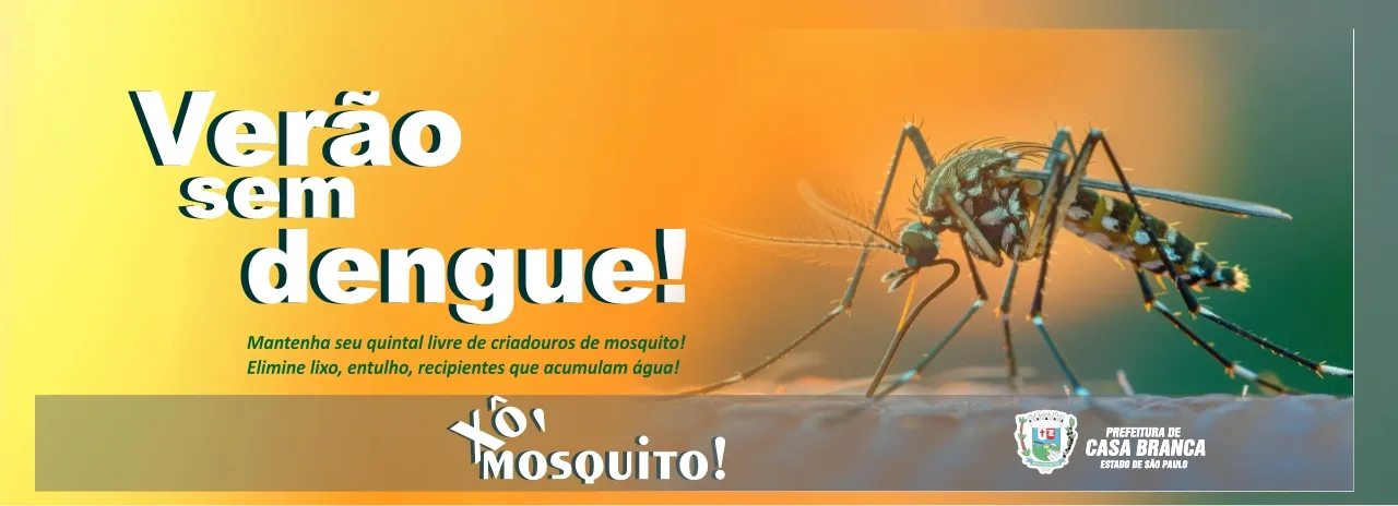 Dengue Verão