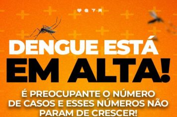 A dengue está em alta e os números não param de crescer. 