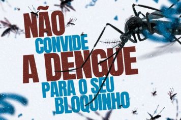 É CARNAVAL, MAS NÃO CONVIDE A DENGUE PARA O SEU BLOQUINHO ❌