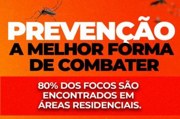 Combater a dengue começa com a prevenção! 