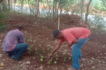 Prefeitura segue dando andamento no Projeto Horta Solidária 