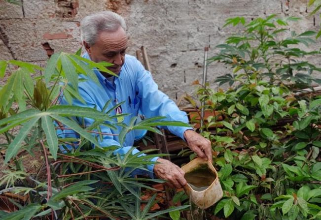 SAÚDE INTENSIFICA AÇÕES PARA COMBATE À DENGUE
